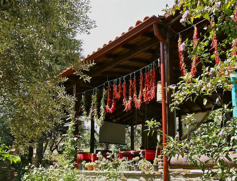 Maison d'hôtes Hotel Stonehouse à Selçuk